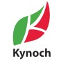 kynoch